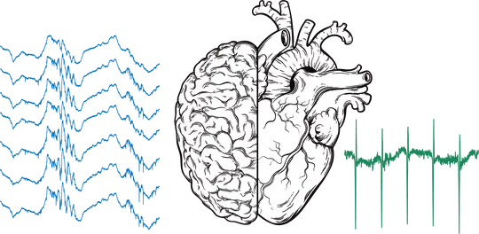 Brain-body relationships