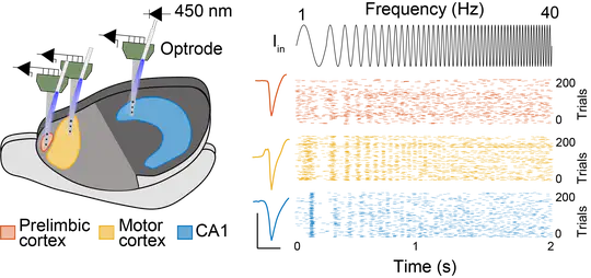 Circuit Resonance