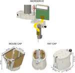 Metal microdrive and head cap system for silicon probe recovery in freely moving rodent