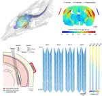 How small electric fields still affect neurons?