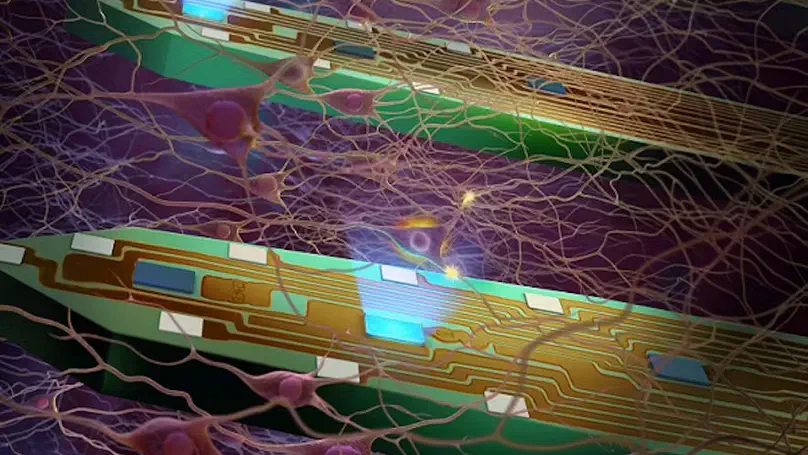 How to Use μLED Optoelectrodes? Surgery, Data Collection and μLED Control
